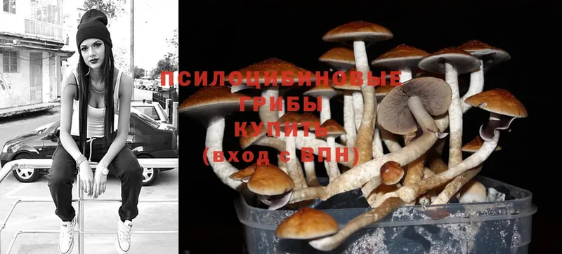 Галлюциногенные грибы MAGIC MUSHROOMS  Мензелинск 